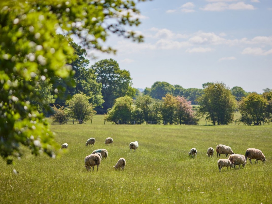 Images for Barford  Road, Banbury, OX15  EAID:3928049530 BID:2