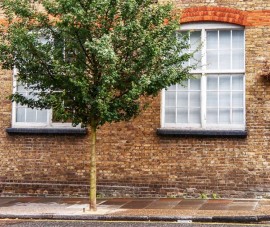 Images for North Road, Holloway, N7 9DP